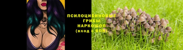 mdpv Волоколамск