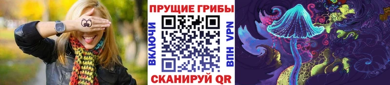 Купить закладки  Кирово-Чепецк  Псилоцибиновые грибы прущие грибы 